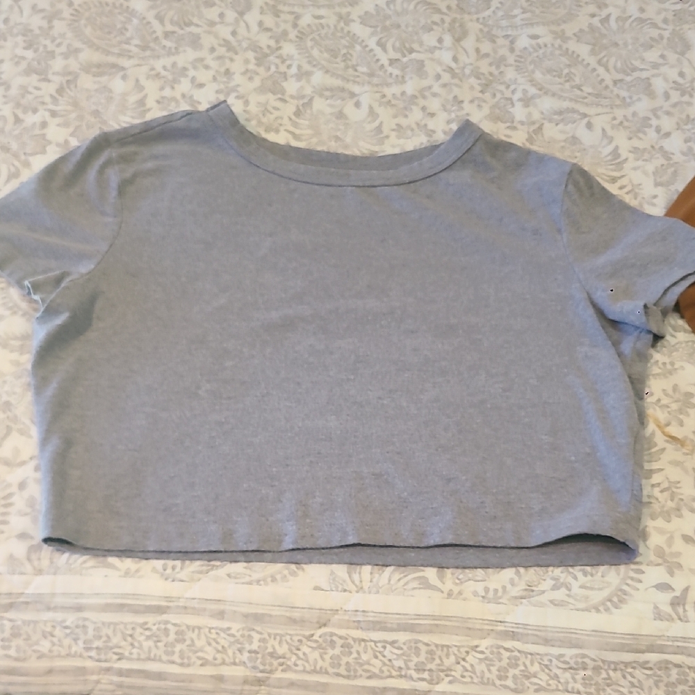 Gray And Brown Cropped T-Shirt